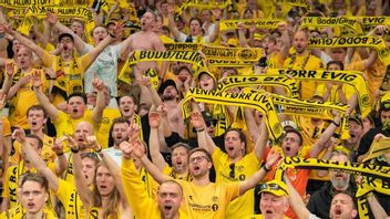 Suporter Bodo/Glimt Rebutan Tiket Semifinal Liga Europa Melawan Tottenham, Sampai Tukar Bahan Pangan