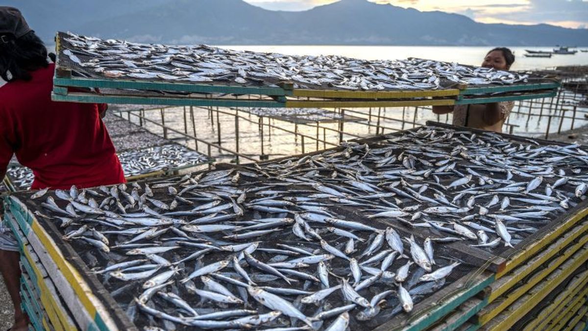 KKP Beberkan Jenis Ikan yang Sesuai Bujet Makan Bergizi Gratis Rp10.000 per Porsi