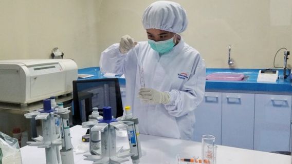 Ini Cara Daftar Vaksinasi COVID-19 Berbayar Individu di Kimia Farma