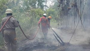 Usai Rapat Bersama Pemda se-Kepri, BPDB Duga 95 Persen Karhutla Disengaja