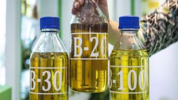 Menko Airlangga: RI Siap Terapkan Biodiesel B40 di 2025