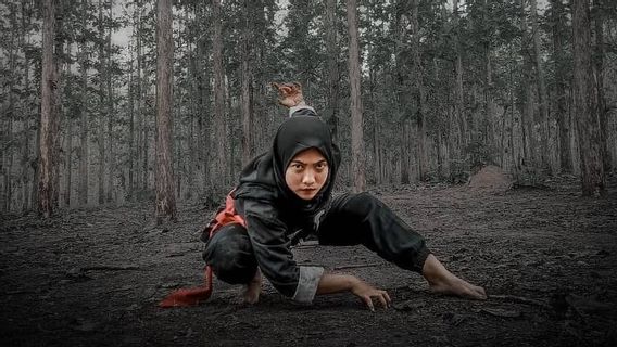 The Flow Of Pencak Silat In Indonesia Is Endangered: If Left Behind, Hundreds Will Extinction