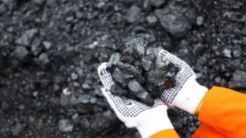 Check out the Reference Coal Prices for October 2023