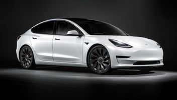 Tesla Model 3 dan Y Jadi Kendaraan Populer Armada Angkutan di Amerika Serikat