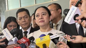 关于苏哈托的拟议英雄称号,Puan:请接受或未接受审查