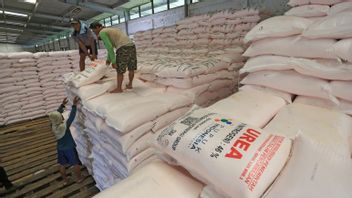 印尼Pupuk准备145万吨补贴化肥库存