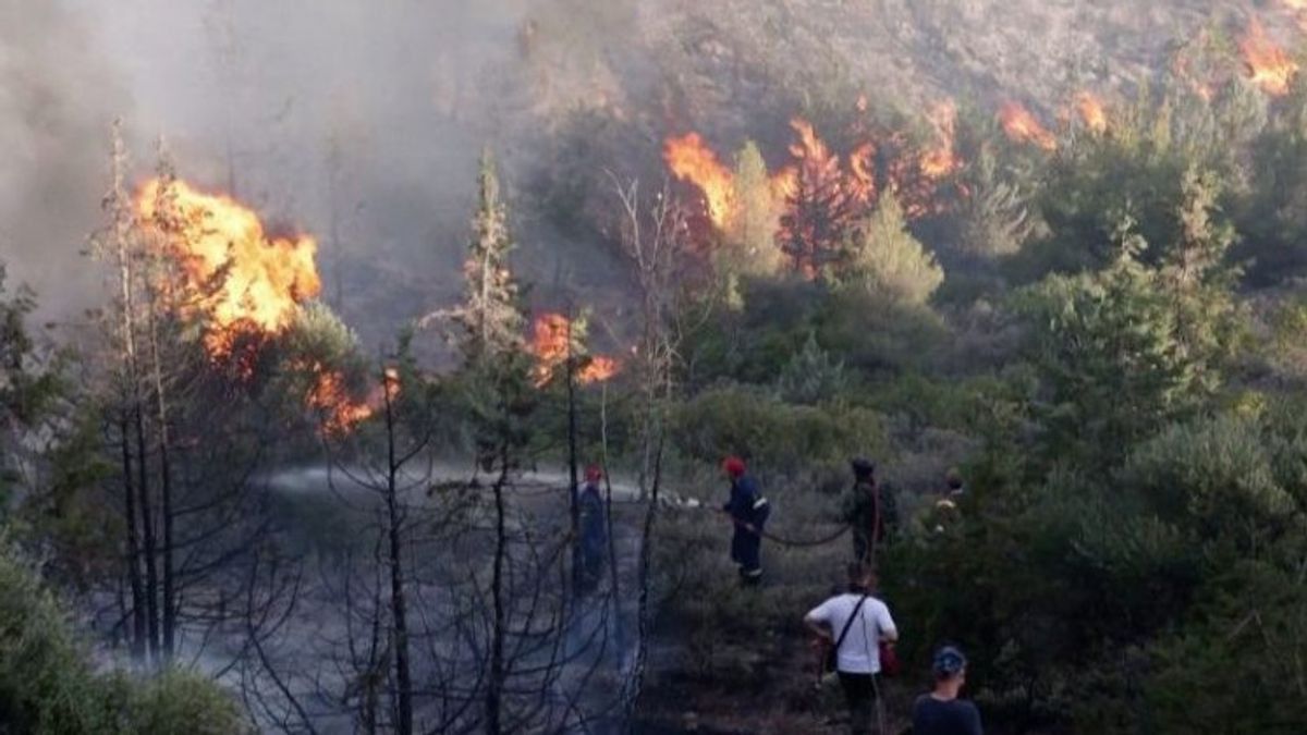 Peat Land Fires Are Increasingly Widespread In Palangka Raya City