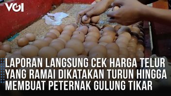 视频： 现场报告检查鸡蛋价格， 据说是下来， 使农民滚垫