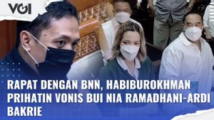 VIDEO: Vonis Bui Nia Ramadhani dan Ardi Bakrie Disorot DPR Saat Rapat dengan BNN 
