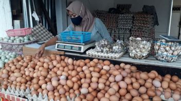 Telur Ayam di Baturaja Mengalami Kenaikan Harga Jelang Natal dan Tahun Baru, Komoditas Lain Juga Melonjak