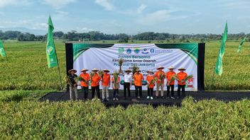 Jakarta a besoin de 3 000 tonnes de riz par jour, le gouvernement de la province de DKI s'associe à Cianjur pour assurer l'approvisionnement
