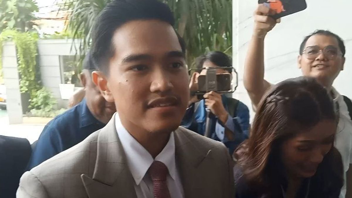 Relawan Gibran Siap Dukung Kaesang Maju Pilgub Jakarta