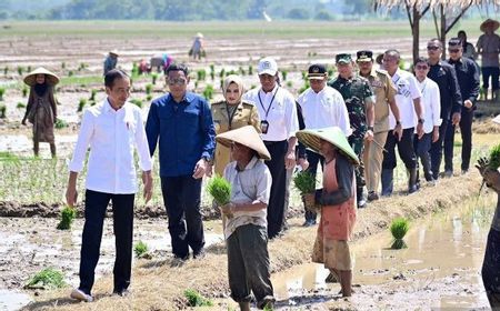 Masuk Musim Hujan, Jokowi Ingatkan Petani di Pekalongan Mulai Tanam Padi