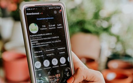 Cara Beralih ke Akun Profesional di Instagram, Apa Keuntungannya?