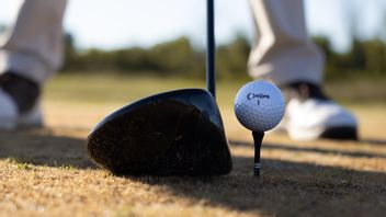 Stik Golf Termahal Versi Majalah Forbes