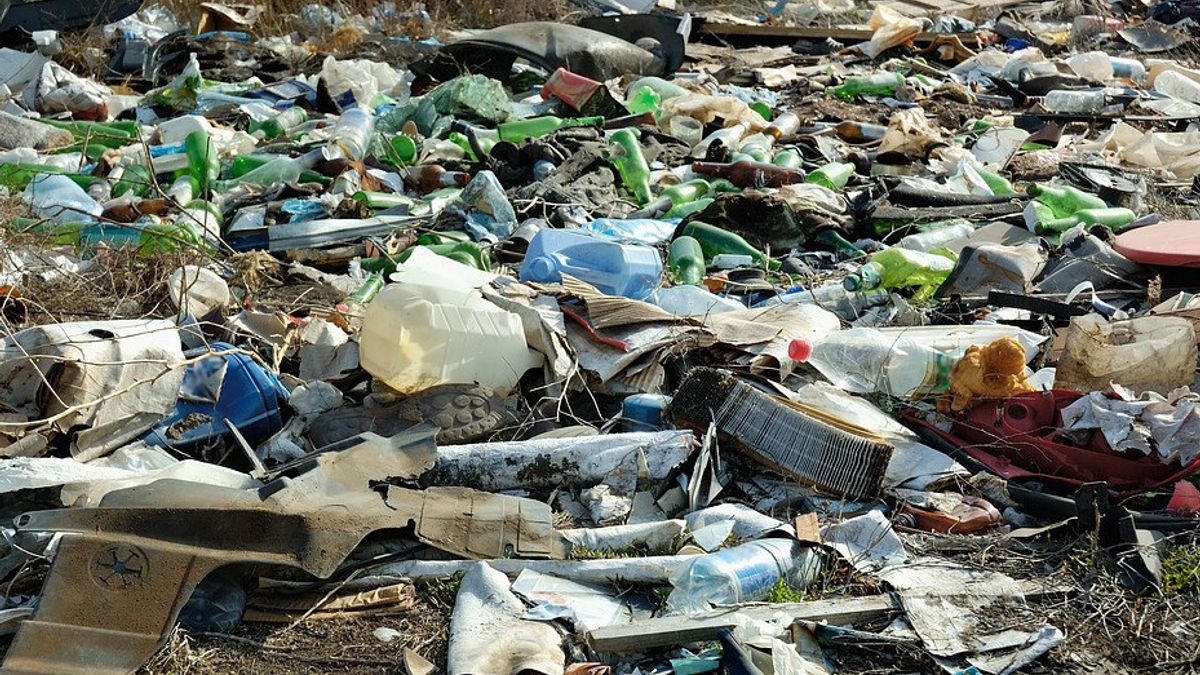 Know The Impact Of Plastic Waste On The Environment And Health