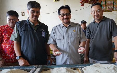 Gencarkan Monitoring, Bapanas Pastikan Kestabilan Harga dan Keamanan Pangan Segar di Pasar