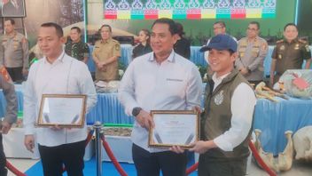 정부는 수마트라 코끼리 구조 인프레스를 준비합니다.