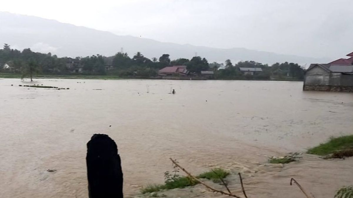 Embung Jebol，30公顷的稻田和定居点被洪水淹没