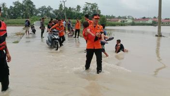 Banjir di 3 Kecamatan Lampung Selatan Capai 1 Meter, 177 Rumah Terdampak