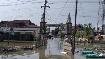 A Number Of Demak Flood Victims Return To Their Homes, PUPR Still Strengthening Broken Embankments