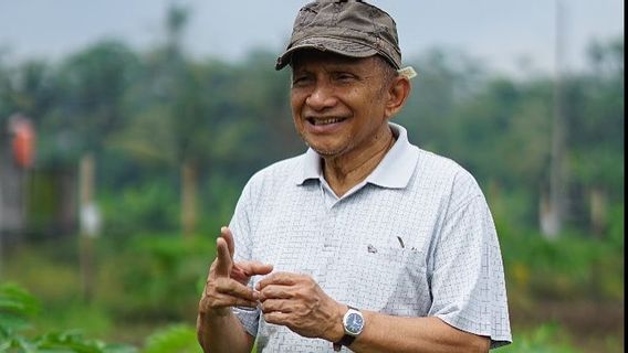 Amien Rais Bicara Partai Baru, Pengamat: Untuk Tes Ombak