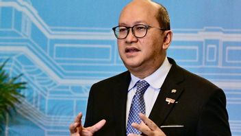 Bos Danantara: Proyek Sampah jadi Listrik di 33 Kota Butuh Investasi Rp91 Triliun
