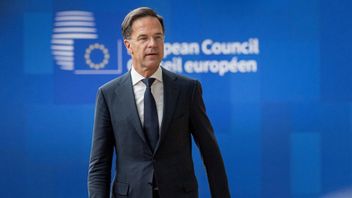 Mark Rutte's Government Collapses After Dispute Of Asylum Policy