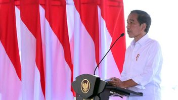 Jokowi Orders Ministry Of Foreign Affairs And Indonesian Ambassador To Help Eril's Body Return To Indonesia