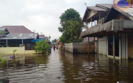 Banjir di Kabupaten Banjar Kalsel, 582 Rumah Warga Terendam