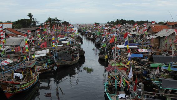 Saran untuk Pemerintah Demi Percepatan Industri Budidaya Lobster Nasional