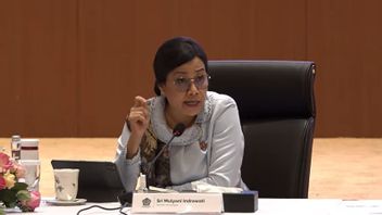 政府は2026年を通して社会的保護のために508.2兆ルピアの予算を計上