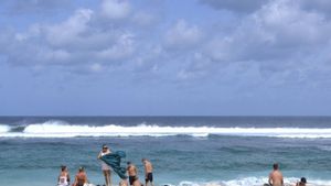 Pungutan Wisman di Bali Bisa Direvisi Bila Manfaatnya Terbukti