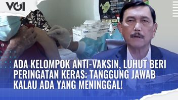 VIDEO: There Is An Anti-Vaccine Group, Luhut Asks Them To Be Responsible If There Are Deaths From COVID-19 Cases