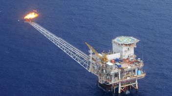 الحكومة توافق على تفكيك منصة النفط والغاز البحرية في شرق كاليمانتان لتصبح شعاب مرجانية اصطناعية