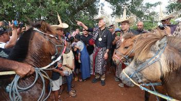 Ganjar Kagum témoigne de la tradition de Hus massive de « danse à cheval » sur l’île de Rote