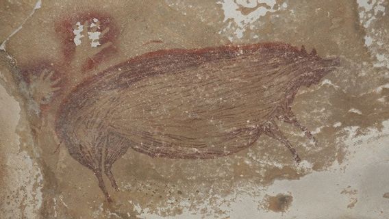  南スラウェシで発見された世界最古のいぼ豚45,500年前の洞窟絵画画像