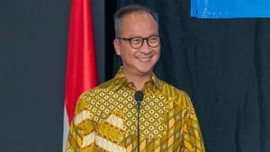 Menperin Minta Pabrikan Mobil di RI Jangan Lakukan PHK: Ekonomi Indonesia Segera Tumbuh