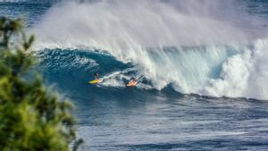 Lokasi Surfing Terbaik di Spanyol Kebakaran Paksa 1.500 Orang Mengungsi, Api Akhirnya Padam Hari Ini