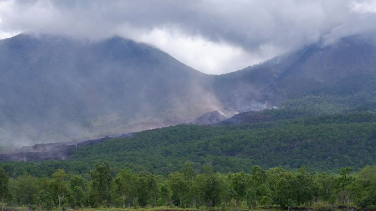 レウォトビ山噴火の溶岩流により420ヘクタールの森林地が焼失しました NTTフロティムの男性