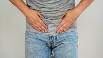 Knowing What Prostates Are To Men: Functions And Problems That Often Haunt