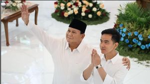 Le gouvernement uni de Prabowo, NasDem est considéré comme intolérable à l’opposition en raison du risque de « souffrir »