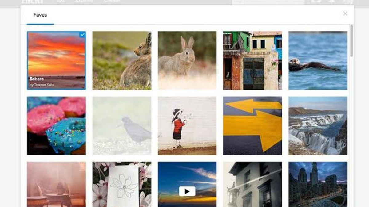 تحميل الصور الحساسة على فليكر الآن صالح فقط للمستخدمين المحترفين