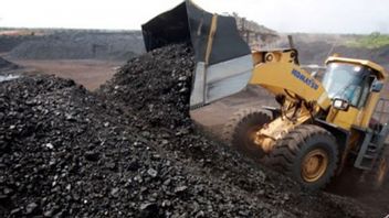 スリ・ムリャニの男性は、BLU石炭の形成は国家予算によって負担されないことを肯定する