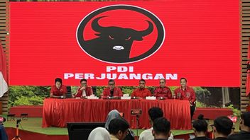 Ada Anomali Kekalahan Airin pada Pilgub Banten 2024, PDIP Siapkan Gugatan ke MK