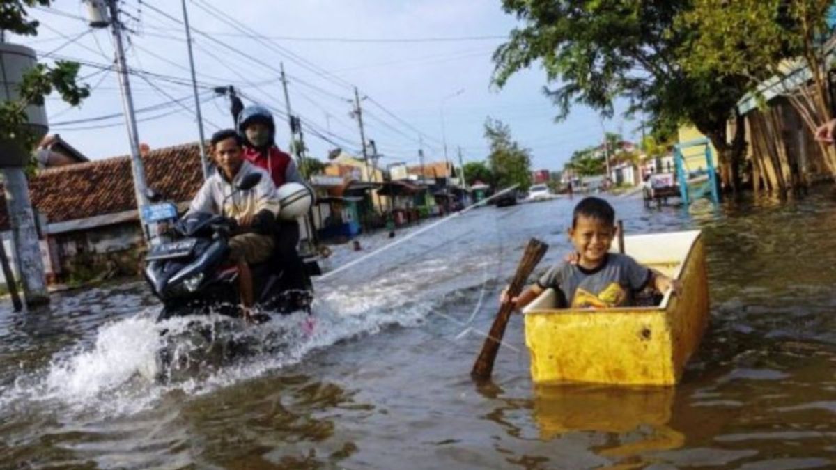 Banjir Rob di Belawan Medan, BMKG: Sampai 9 November