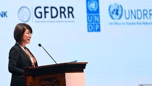 Perkuat Aksi Kebencanaan, UNDP Andalkan Kepemimpinan Indonesia di G20