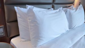 Bermaksud Bermalam di London, Pasangan Ini Menemukan Kutu Busuk di Bed Cover Hotel