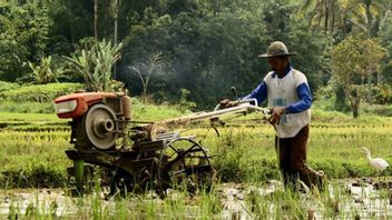 Lahan Pertanian Sawah di Aceh Berkurang 80.485 Hektare dalam 4 Tahun 
