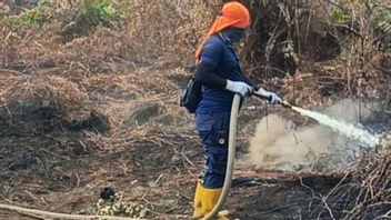 BNPB : 칼티엠과 칼셀 주말이 카르후틀라에 의해 휩싸여 있었고 이미 침식되었다.